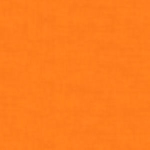 Meet your Posher, Emilia